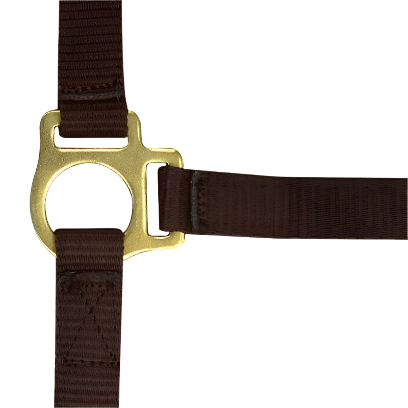 Norton - Licol foal + longe brun | - Ohlala