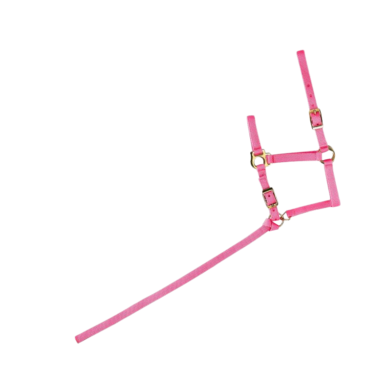 Norton - Licol foal + longe rose | - Ohlala