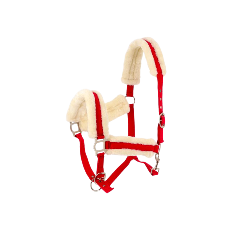 Norton - Licol Confort framboise | - Ohlala