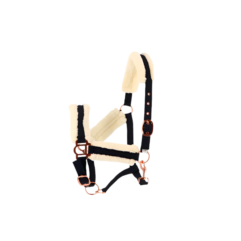 Norton - Licol Confort marine/bouclerie or rose | - Ohlala