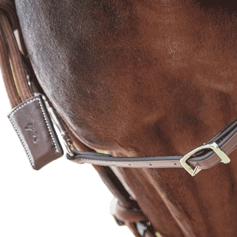 Pénélope - Licol éthologique Havane | - Ohlala