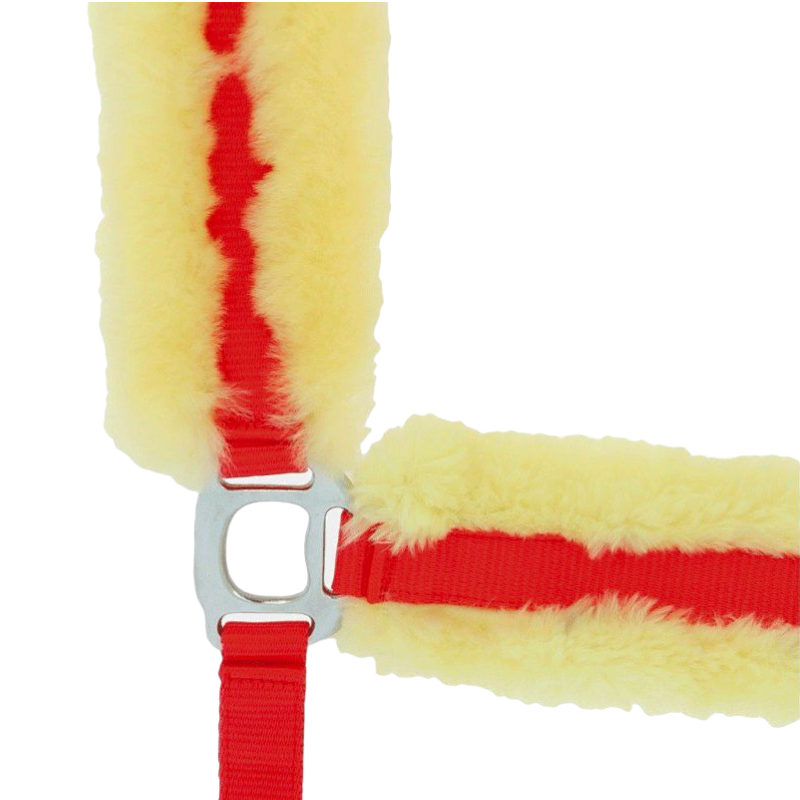 Equithème - Licol mouton synthétique rouge | - Ohlala
