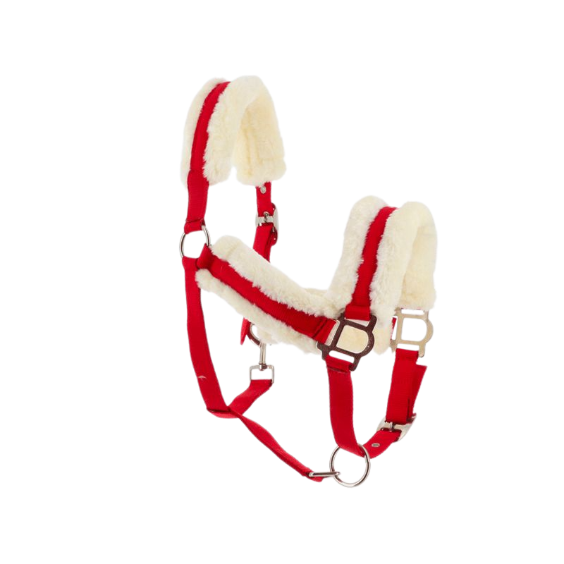 Norton - Licol Confort rouge/bouclerie argenté | - Ohlala