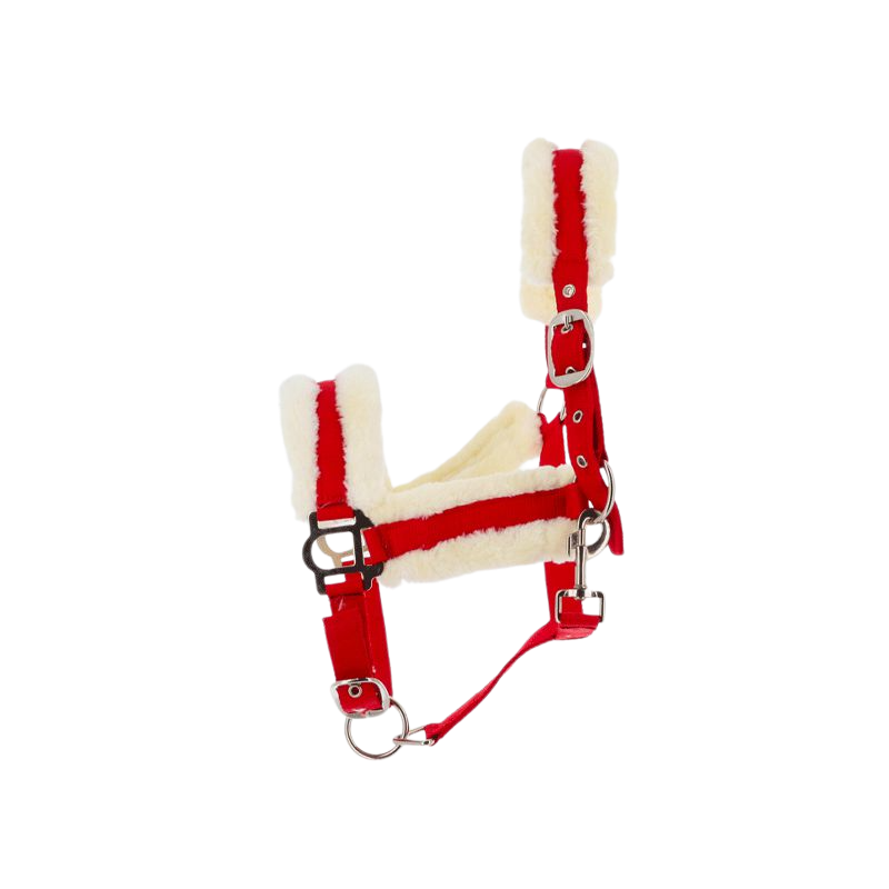 Norton - Licol Confort framboise | - Ohlala