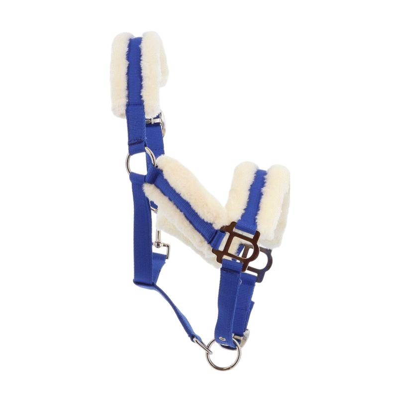 Norton - Licol Confort bleu vif | - Ohlala