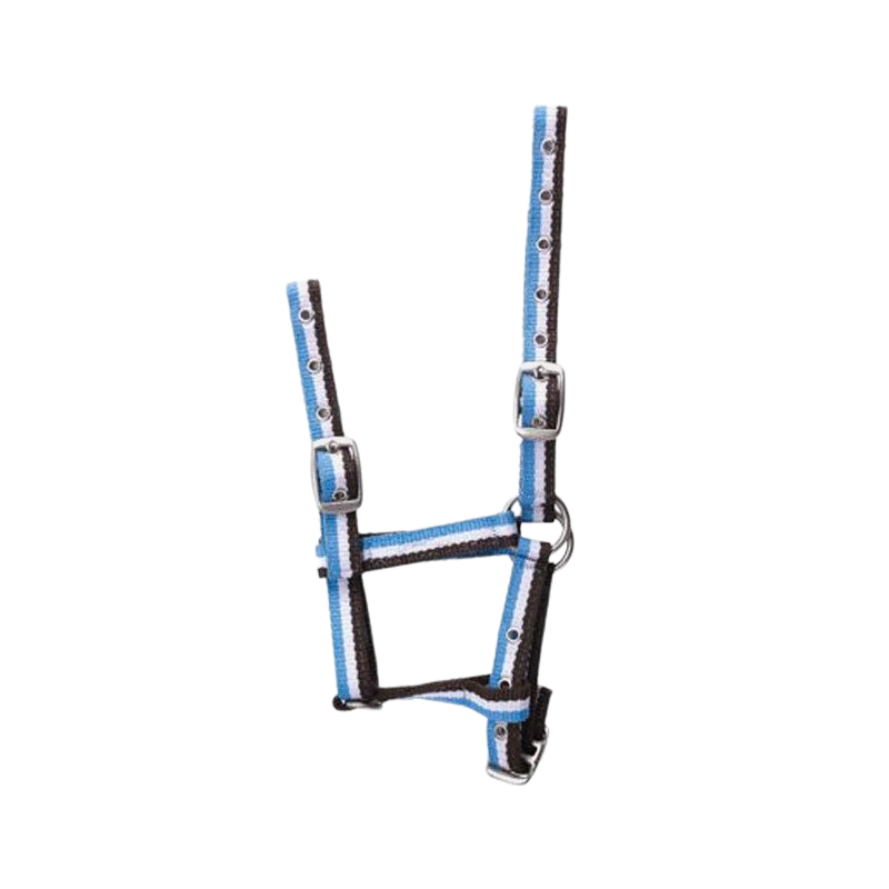 Norton - Licol pour poulains réglable choco/ blanc/ ciel | - Ohlala