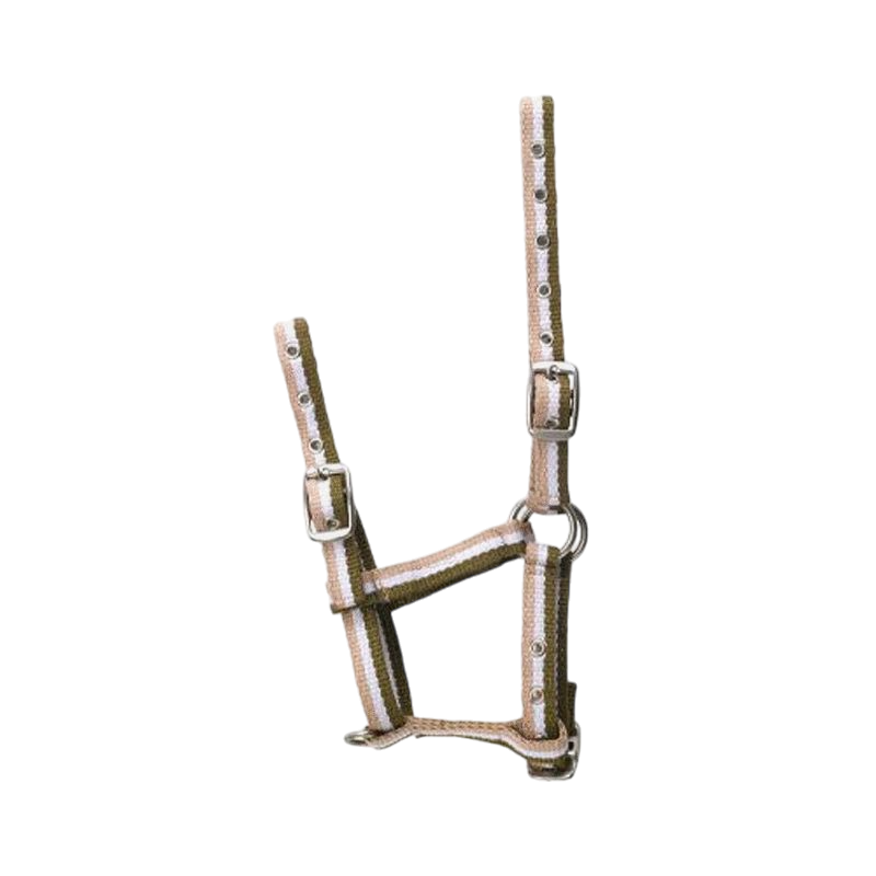 Norton - Licol poulain réglable kaki/ blanc/ beige | - Ohlala