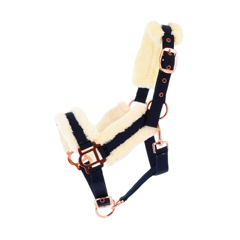 Norton - Licol Confort marine/bouclerie or rose | - Ohlala