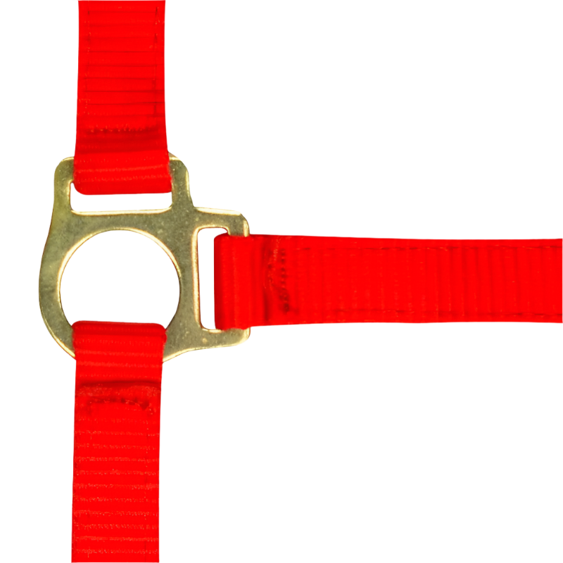 Norton - Licol foal + longe rouge | - Ohlala