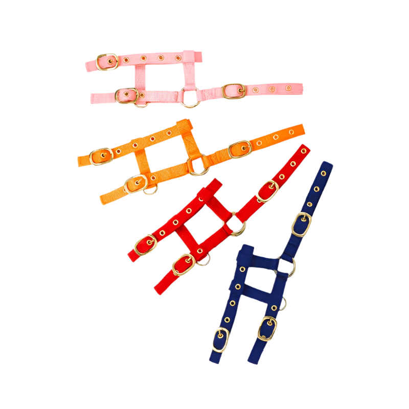 Norton - Licol réglable mini rose | - Ohlala