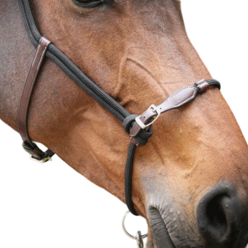 Pénélope - Licol cheval Ethologique noir | - Ohlala