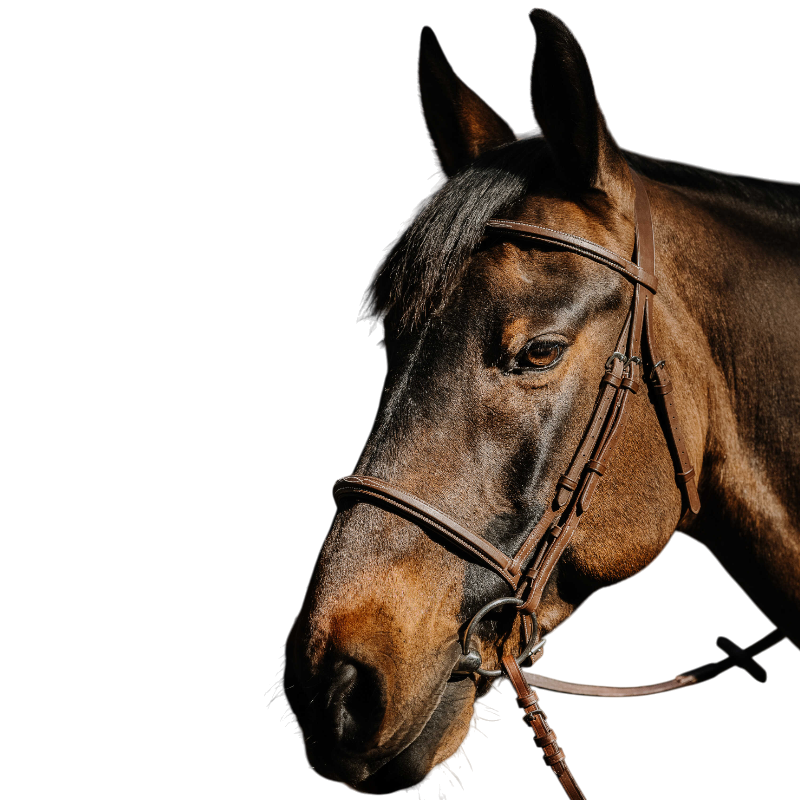 Norton - Bridon Hunter Soft havane | - Ohlala