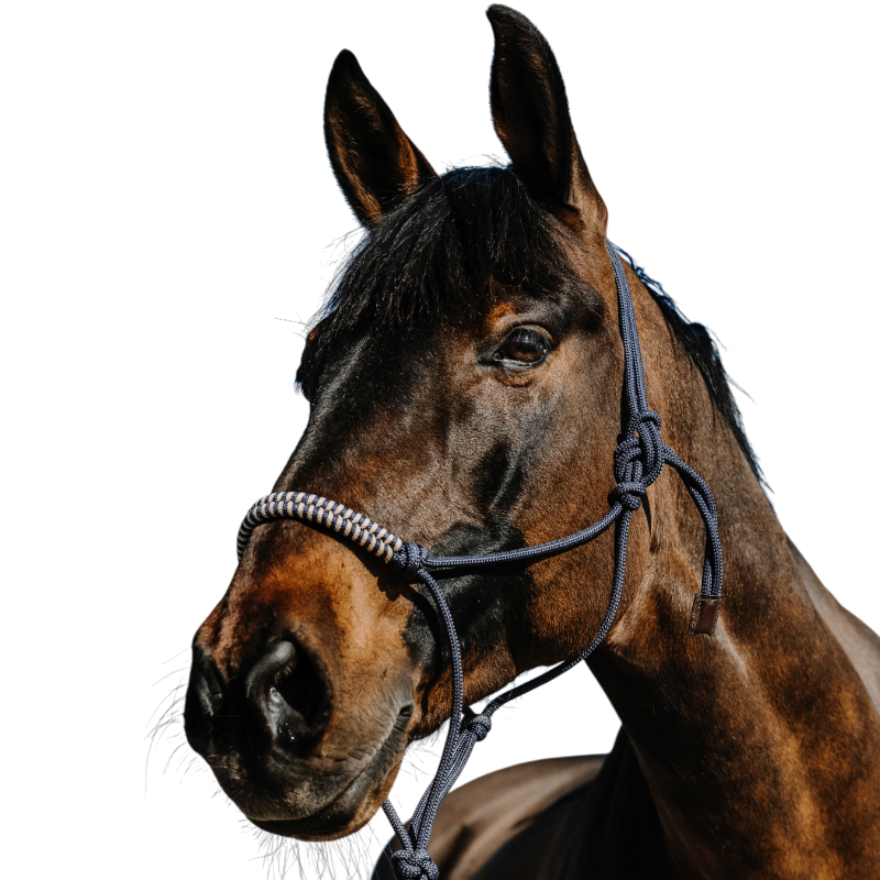 Norton - Ensemble licol éthlogique et longe Deco marine/ beige | - Ohlala