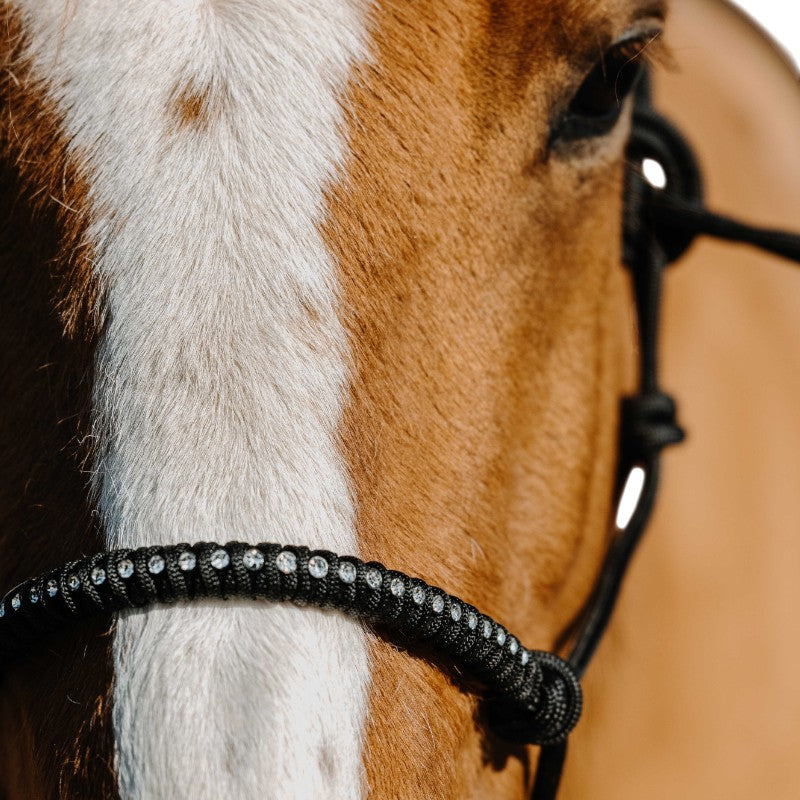 Norton - Licol éthologique en nylon noir | - Ohlala