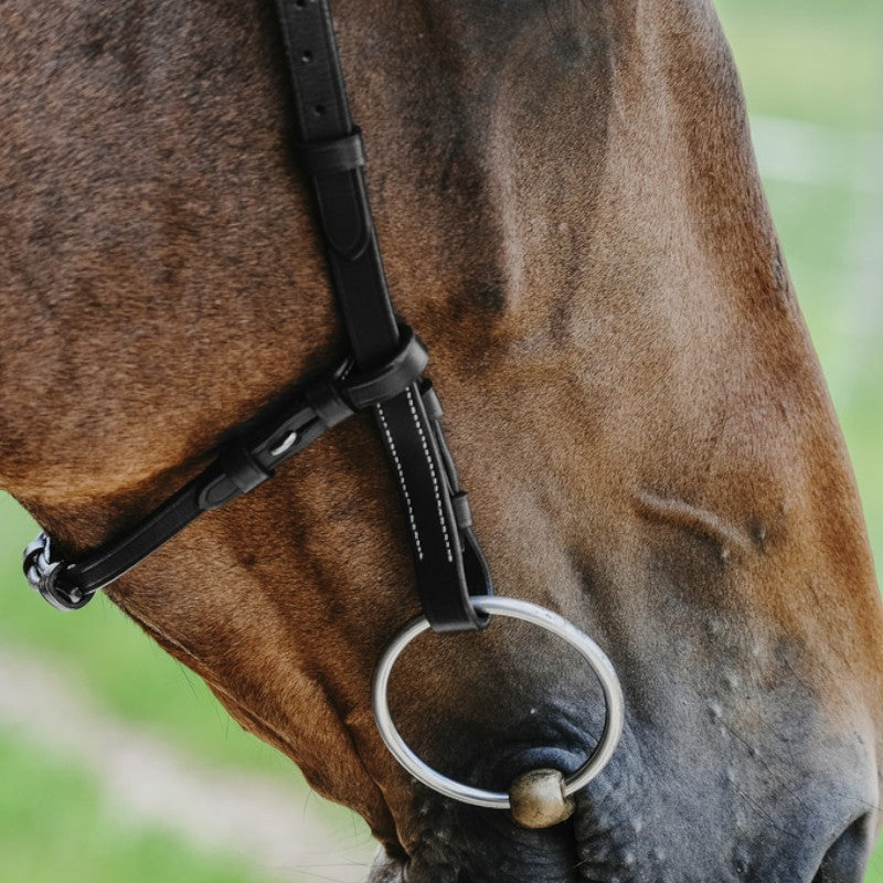 Norton - Bridon Freedom noir | - Ohlala