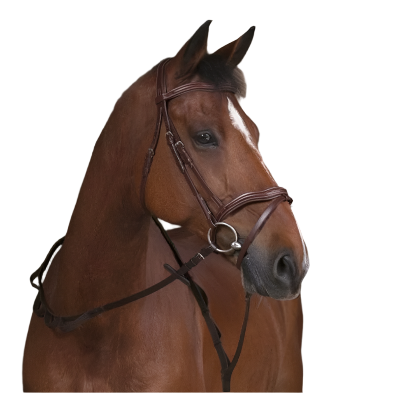 Norton - Rênes sangles à poignées havane | - Ohlala