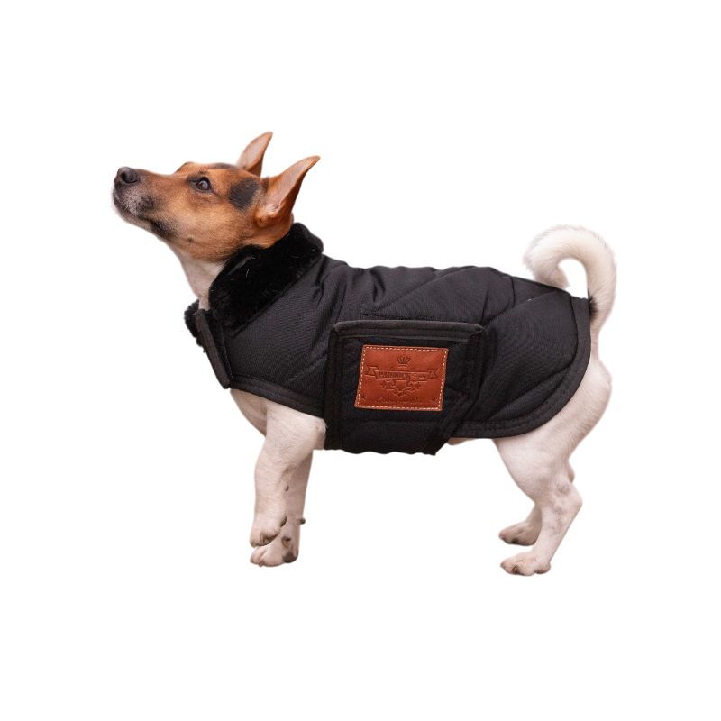 Paddock Sports - Couverture pour chien Diagonal | - Ohlala