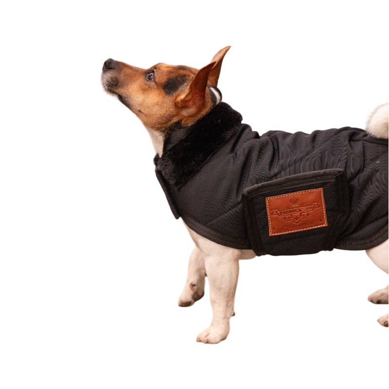 Paddock Sports - Couverture pour chien Diagonal | - Ohlala