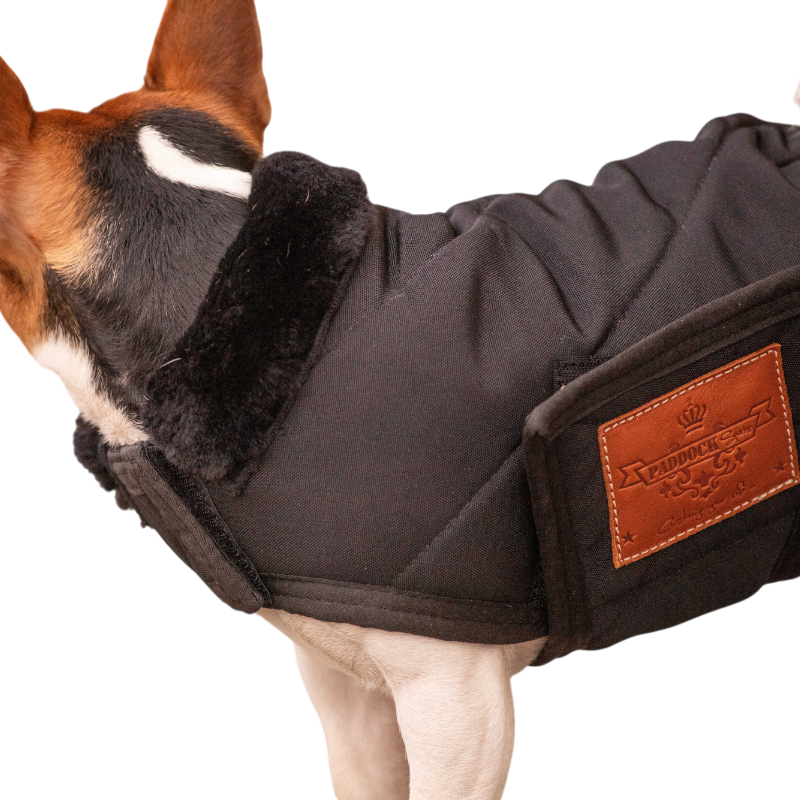 Paddock Sports - Couverture pour chien Diagonal | - Ohlala