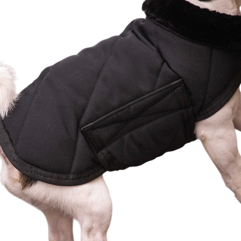Paddock Sports - Couverture pour chien Diagonal | - Ohlala