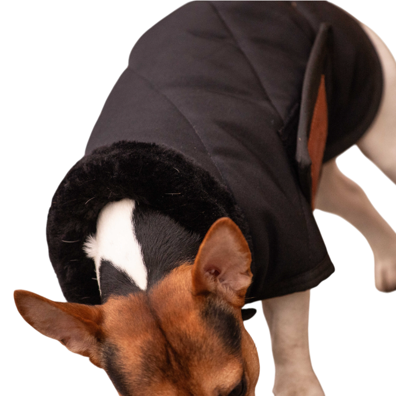 Paddock Sports - Couverture pour chien Diagonal | - Ohlala