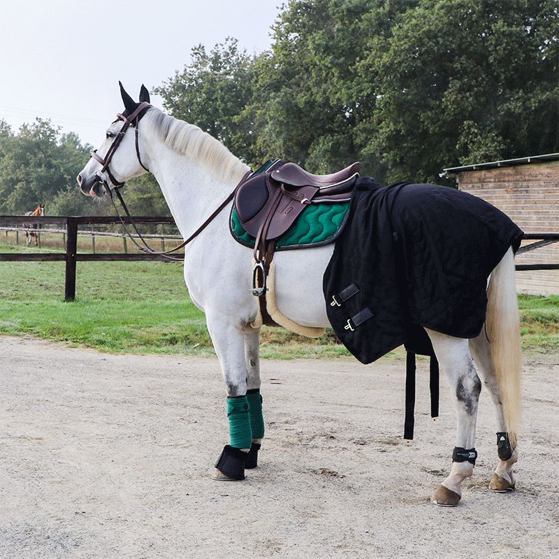 Kentucky Horsewear - Bandes de polo velvet vert foncé | - Ohlala