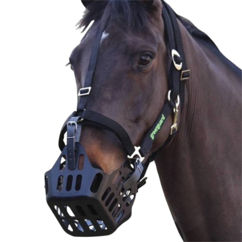 Greenguard - Panier Thérapeutique noir | - Ohlala