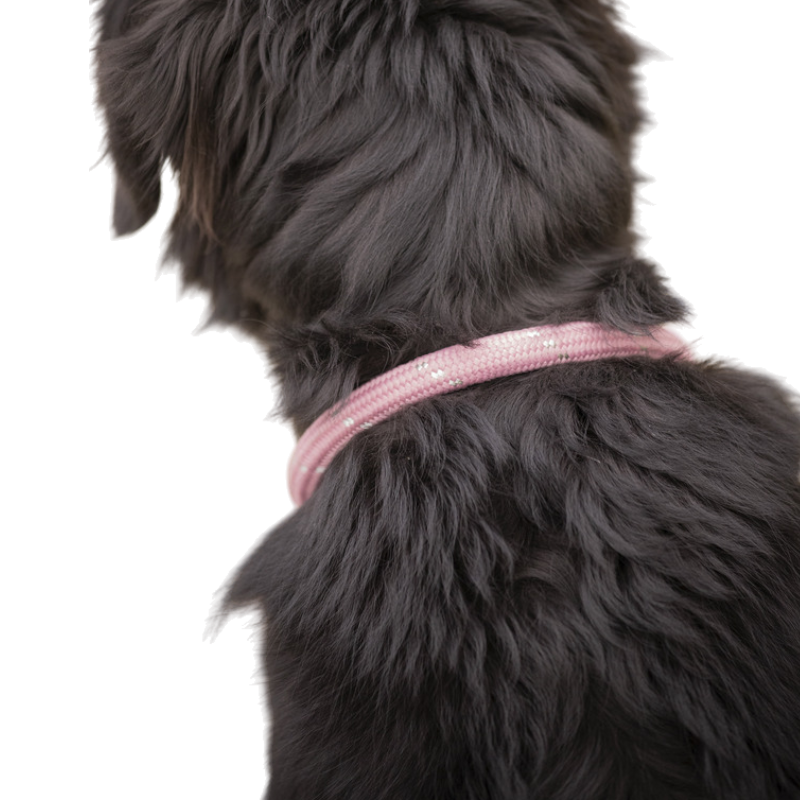Pénélope - Collier pour chien Billie rose/ lurex | - Ohlala