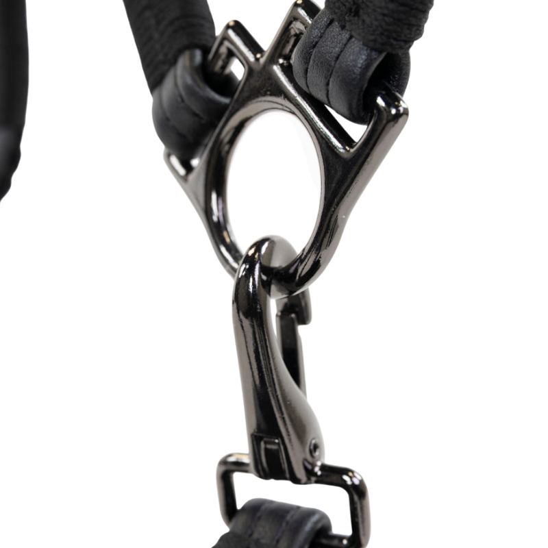 Pro Confort - Licol de grooming Dialou noir | - Ohlala