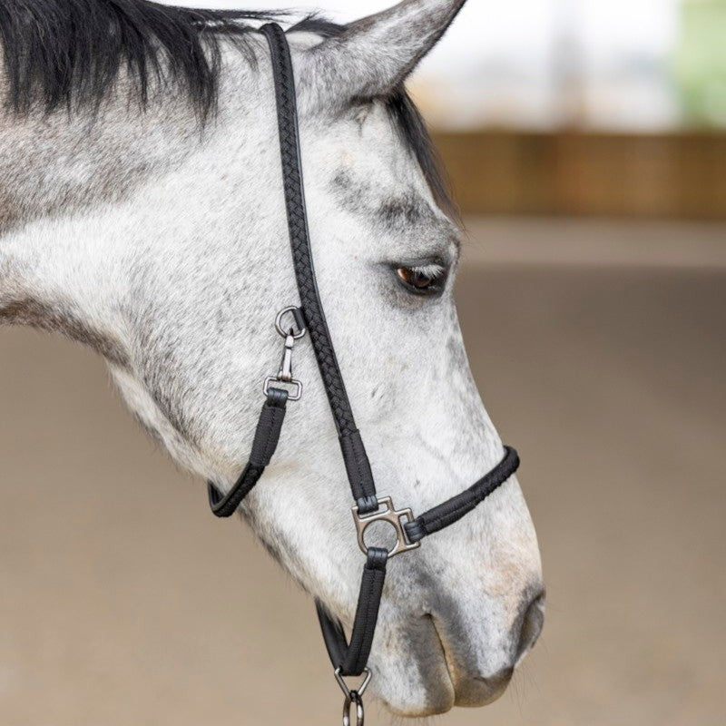 Pro Confort - Licol de grooming Dialou noir | - Ohlala