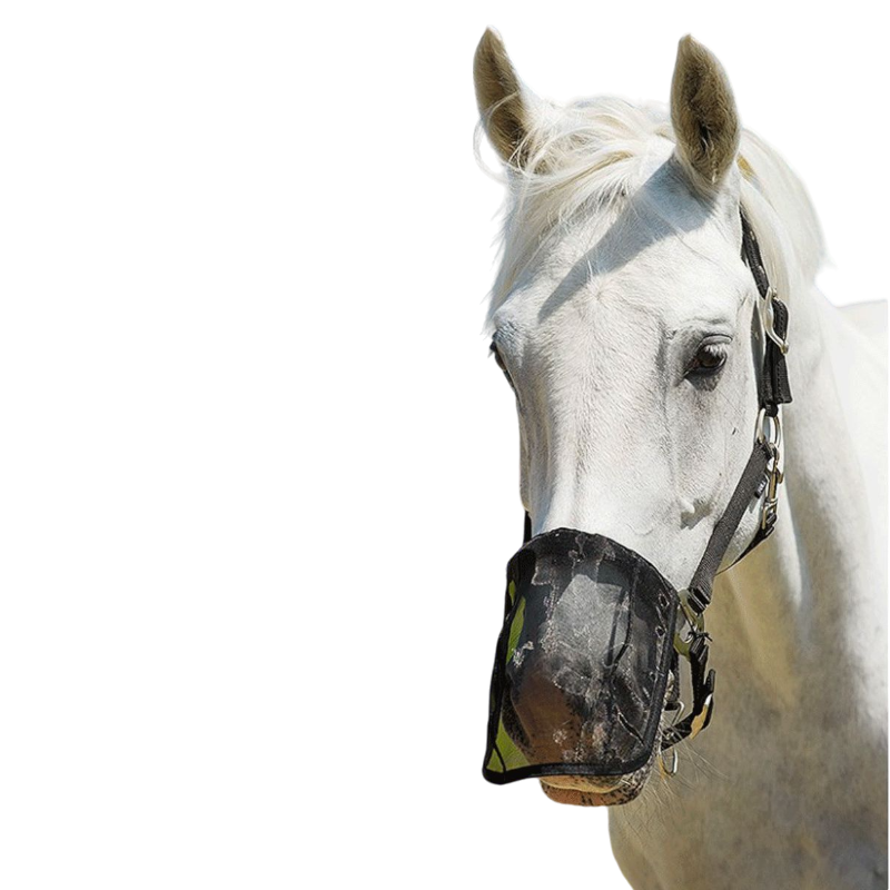 Norton - Protège naseaux maille anti-mouches | - Ohlala