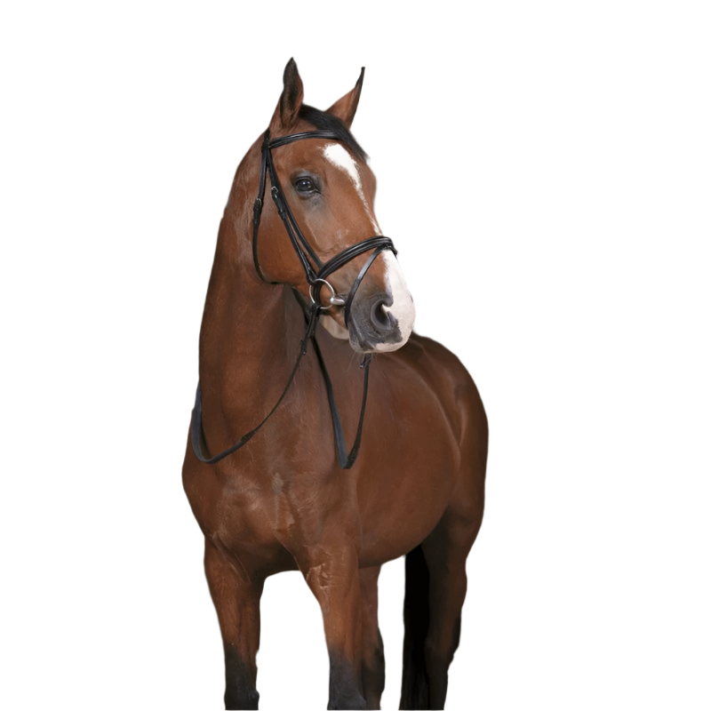 Norton Pro - Rênes en caoutchouc noir | - Ohlala