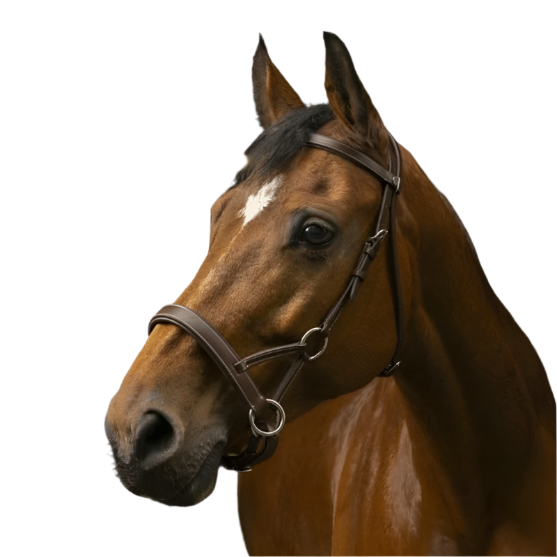 Norton - Bridon Side pull "PRO" confort havane | - Ohlala