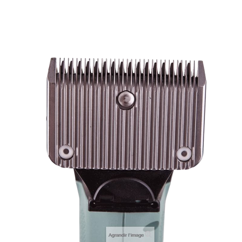 Lister - Tondeuse pour chevaux Star saccoche | - Ohlala