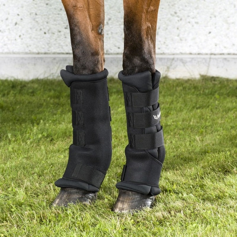 Back On Track - Guêtres d'écurie royales noires | - Ohlala