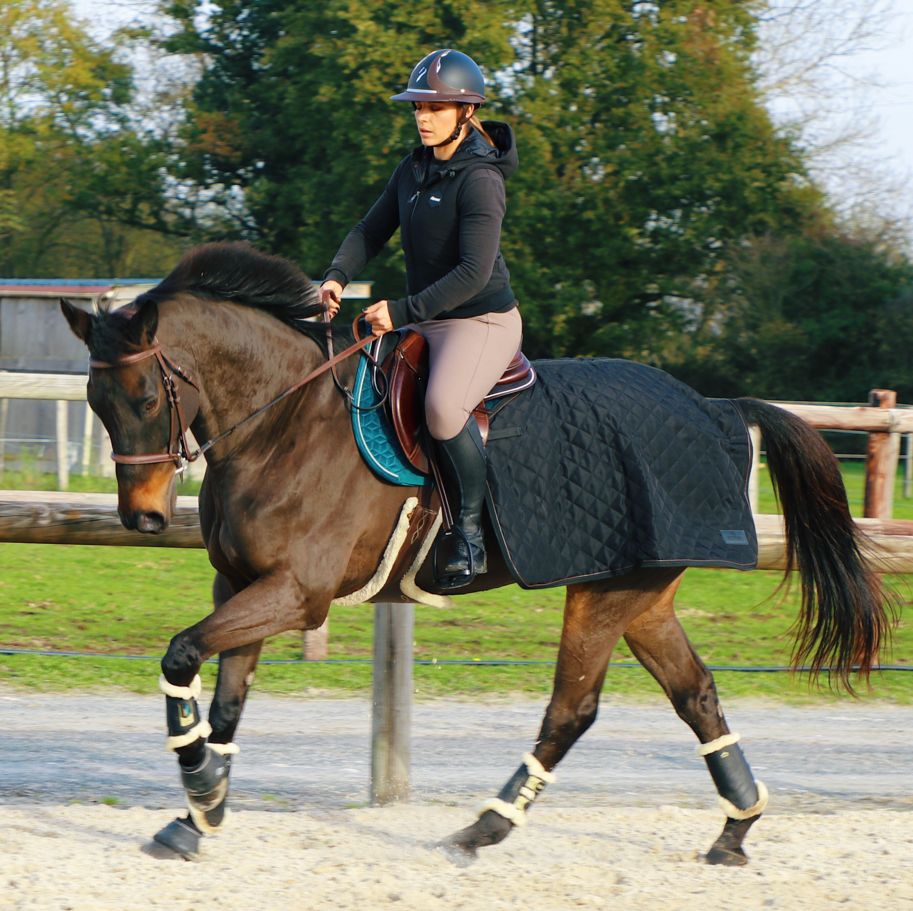 Veredus - Guêtres fermées postérieures TRS Save the Sheep Noir | - Ohlala