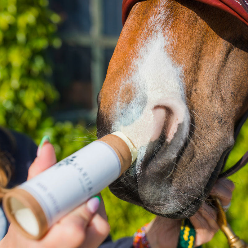 Karitale - Baume de soin anti-UV | - Ohlala