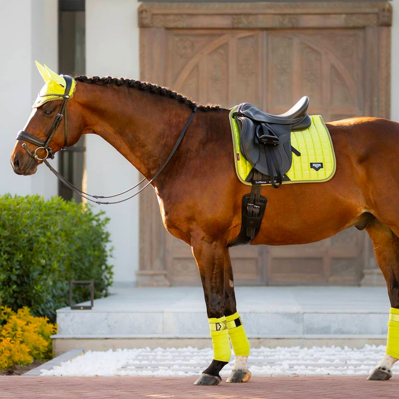 Lemieux - Tapis de dressage Loire Classic Square kiwi | - Ohlala