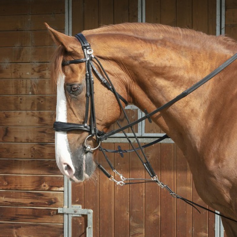 Norton - Gogue à poulies | - Ohlala