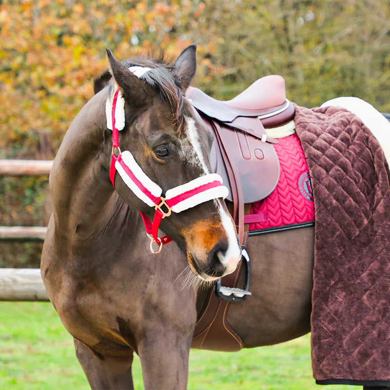 Norton - Licol Confort bordeaux/bouclerie or rose | - Ohlala