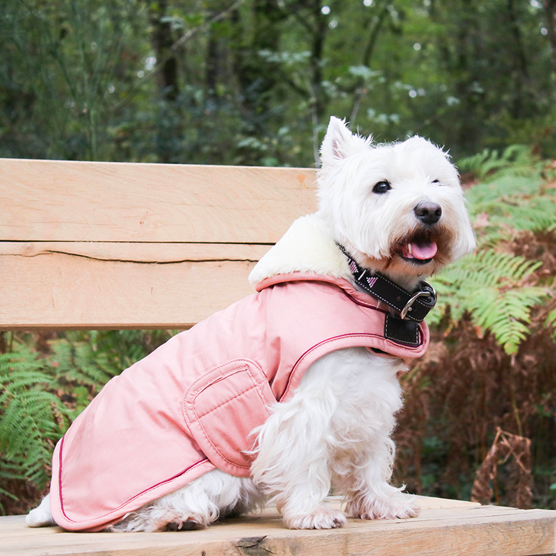 Kentucky Dogwear - Manteau Imperméable Corail | - Ohlala