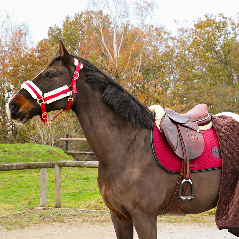 Norton - Licol Confort bordeaux/bouclerie or rose | - Ohlala