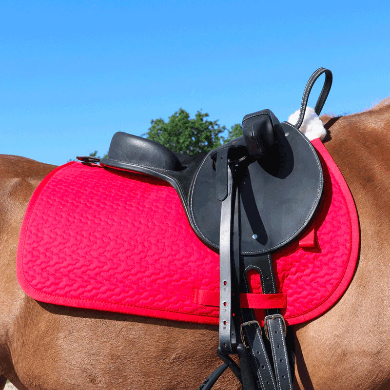 TdeT - Selle bardette noir | - Ohlala