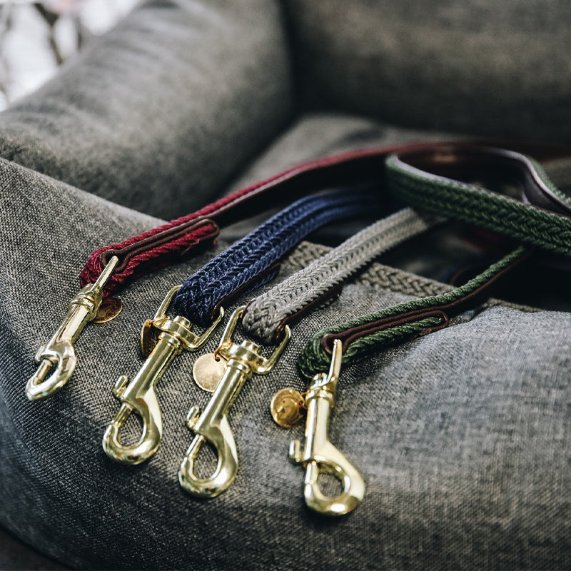 Kentucky Dogwear - Laisse en nylon tressé marine | - Ohlala