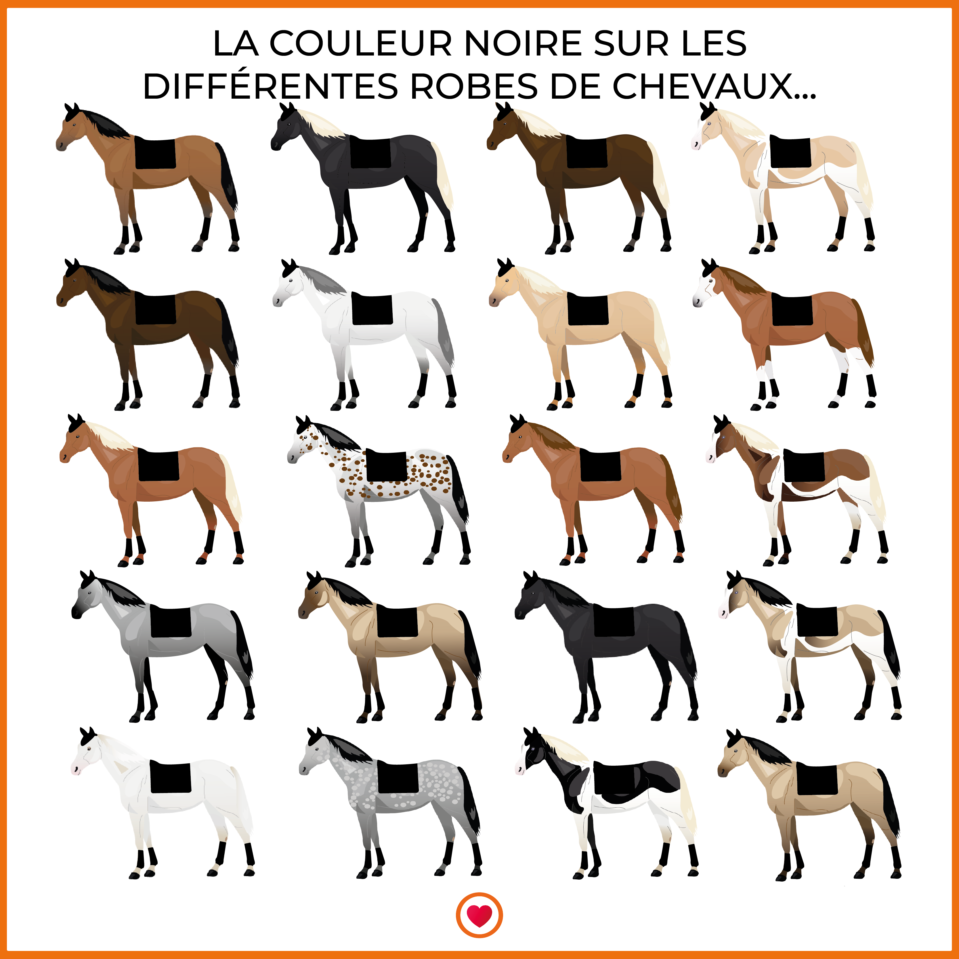 Riding World - Tapis de selle Rope noir | - Ohlala