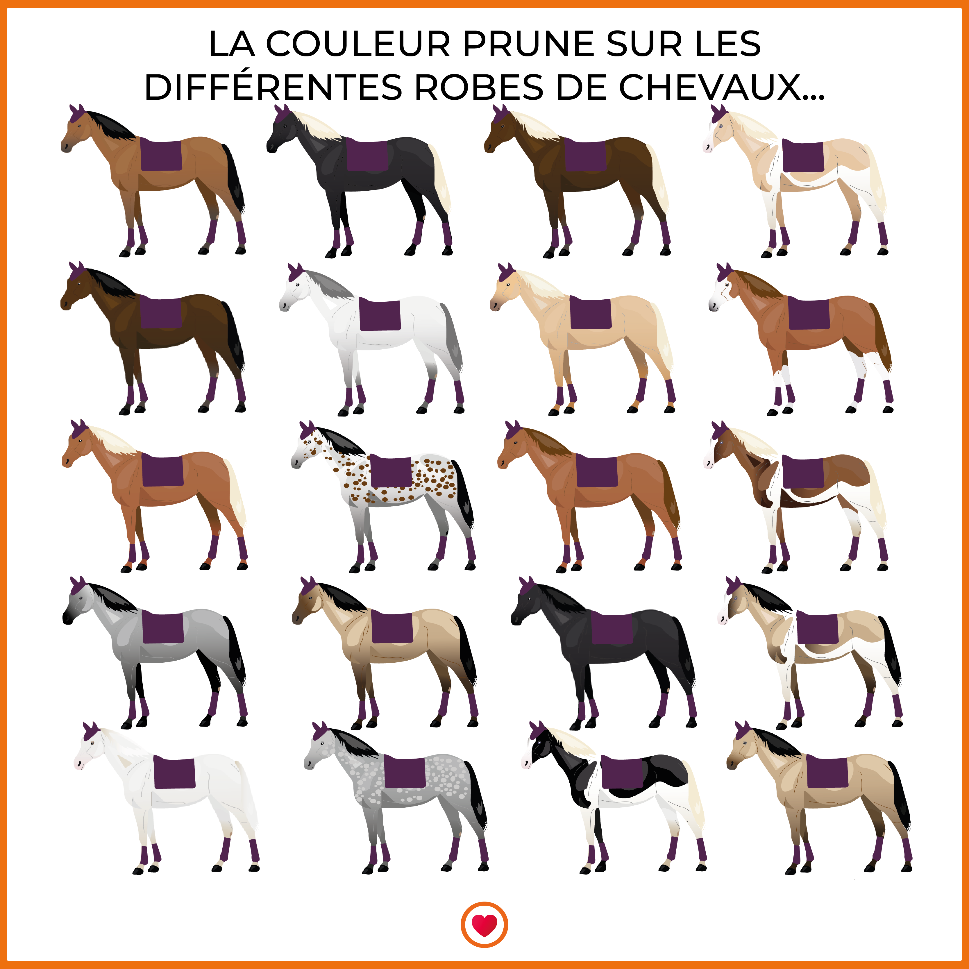 Paddock Sport - Tapis de selle prems écusson prune | - Ohlala