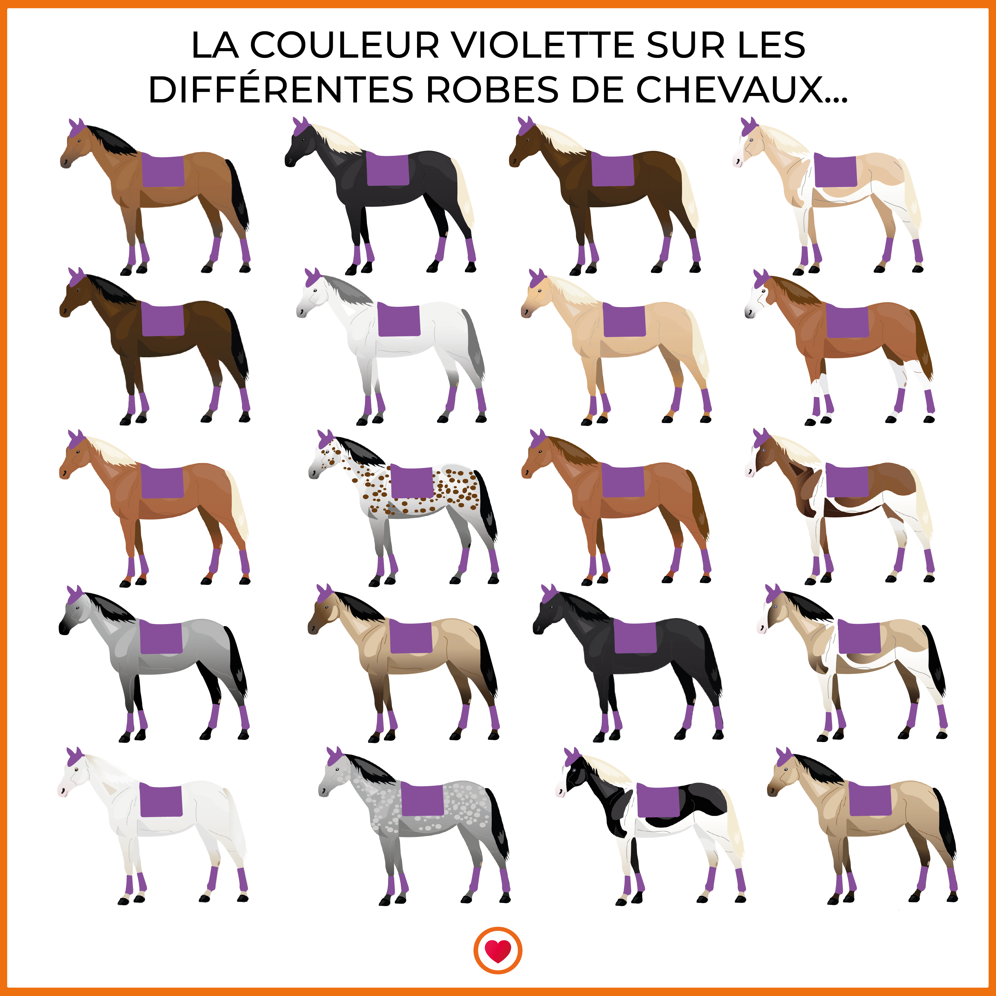 LeMieux - Tapis de dressage Loire Memory Satin violet | - Ohlala