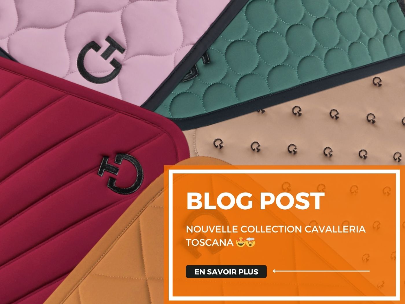 Nouvelle collection Cavalleria Toscana 🤩🤯