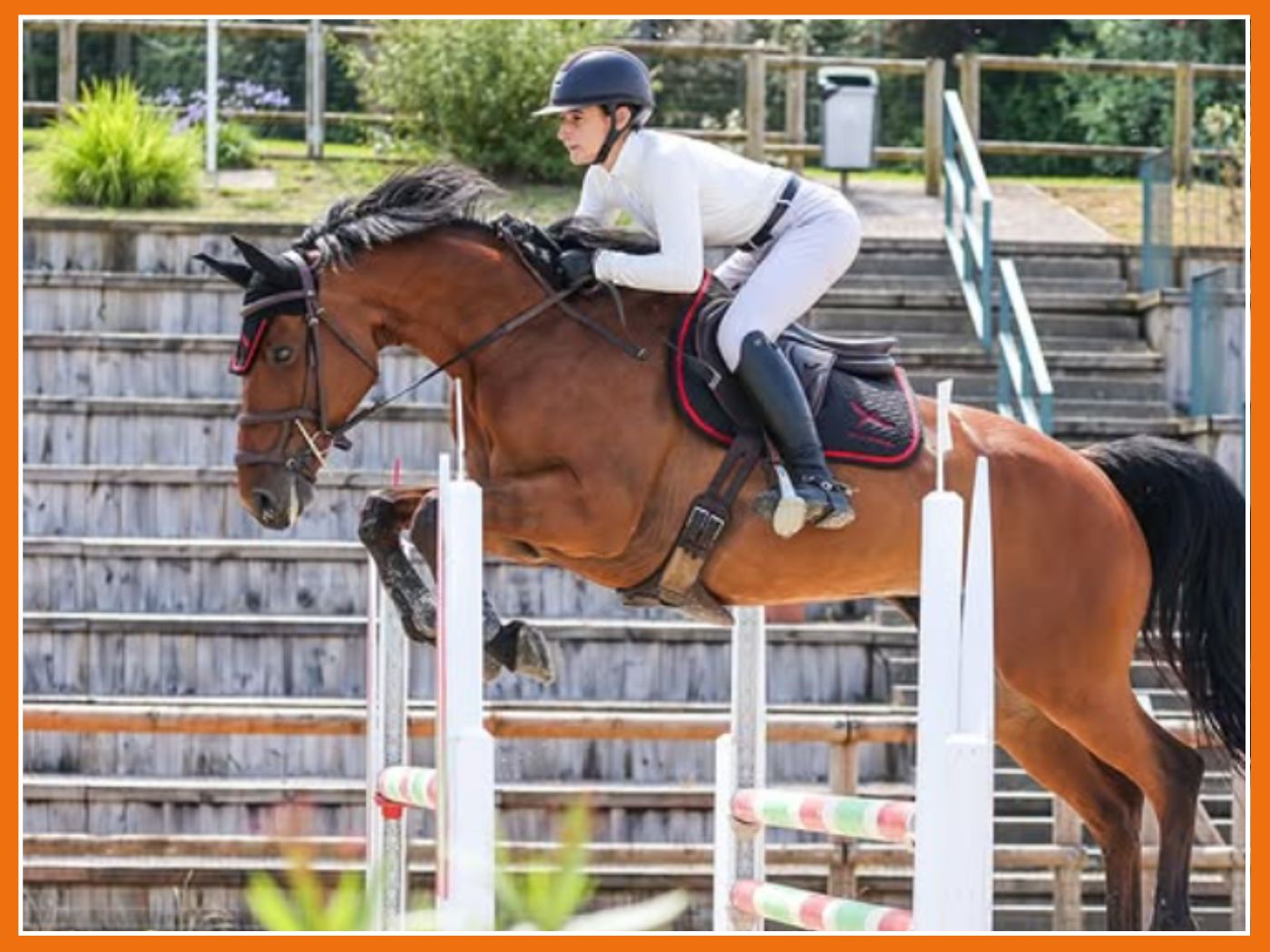 Vous n'aurez plus aucune excuse pour les concours 😇