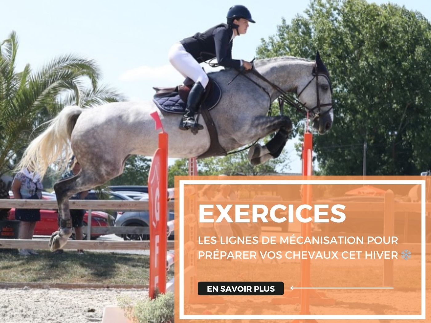 Les lignes de mécanisation pour préparer vos chevaux cet hiver ❄️